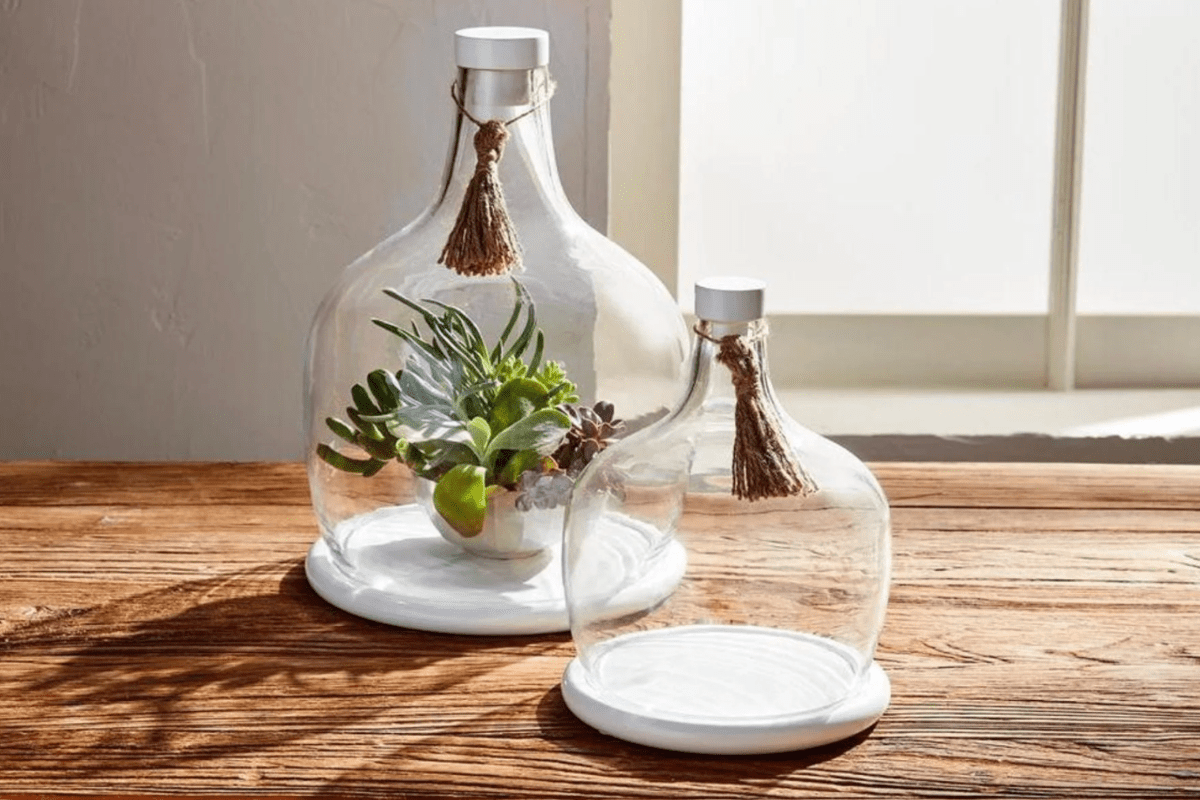Boho Bliss: Creating a Nature-Inspired Haven with Macramé and Plants - Ruby Jane & Valleygirl Boutique