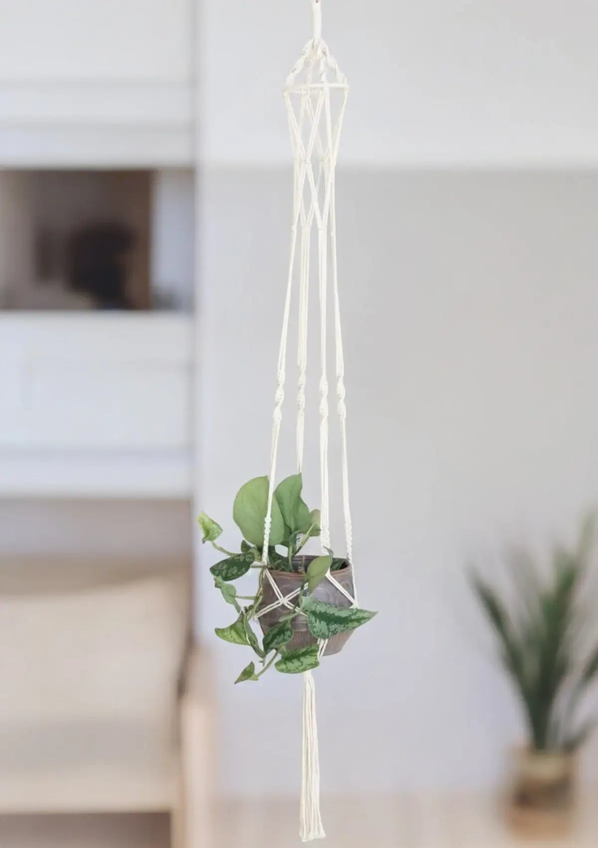 macrame basket plant hanger Cotton Rope Hanging Basket