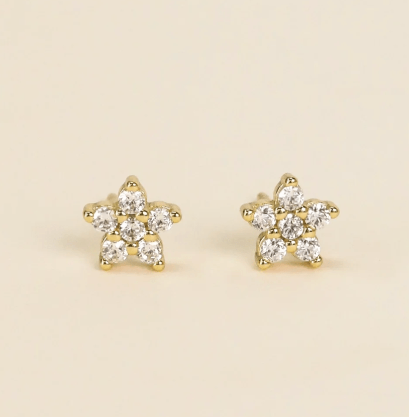 Earring - Earrings - Fashion - Ruby Jane & Valleygirl Boutique.
