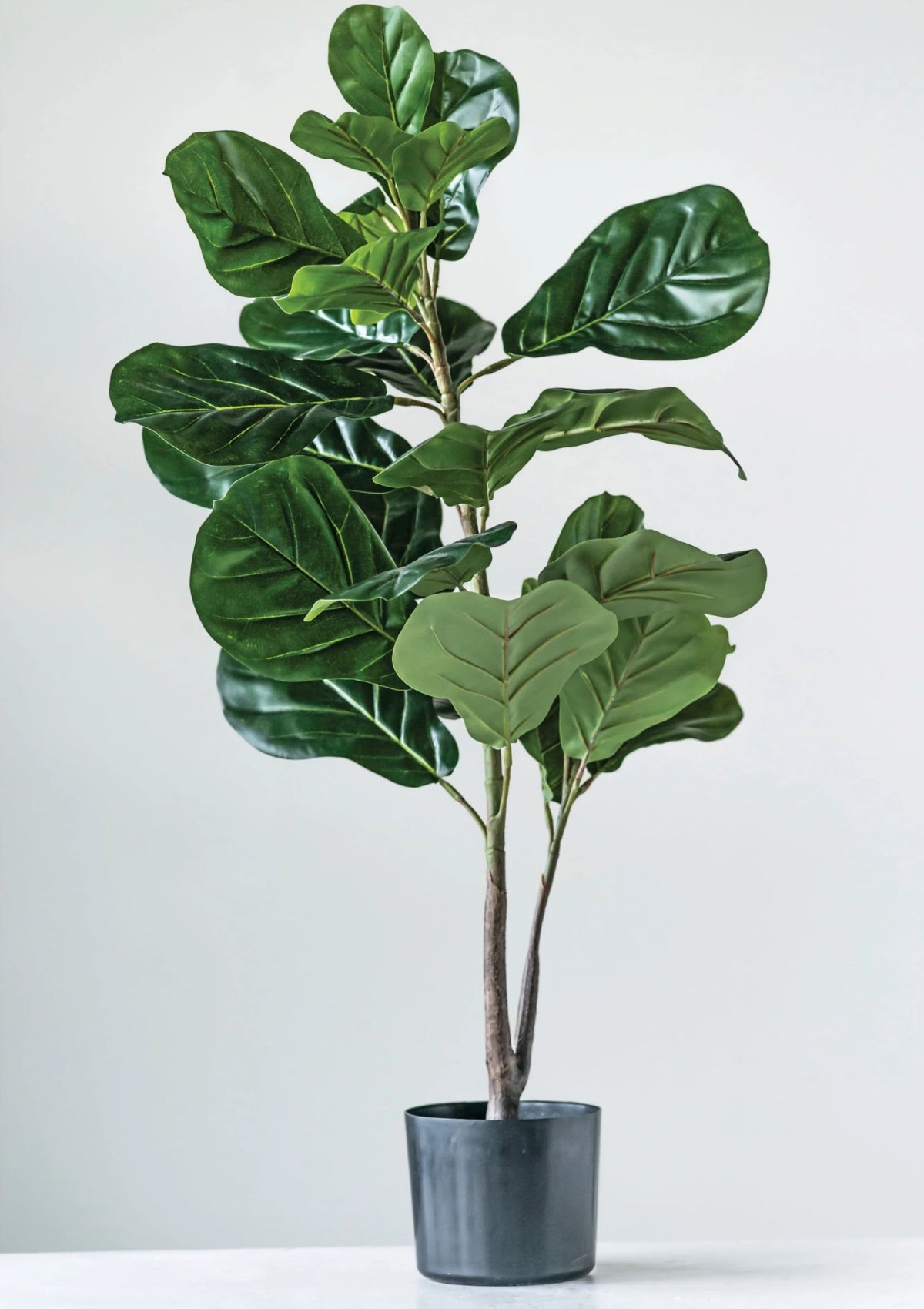 Faux Fiddle Fig Leaf Plant in Pot -Creative Co-op- Ruby Jane-