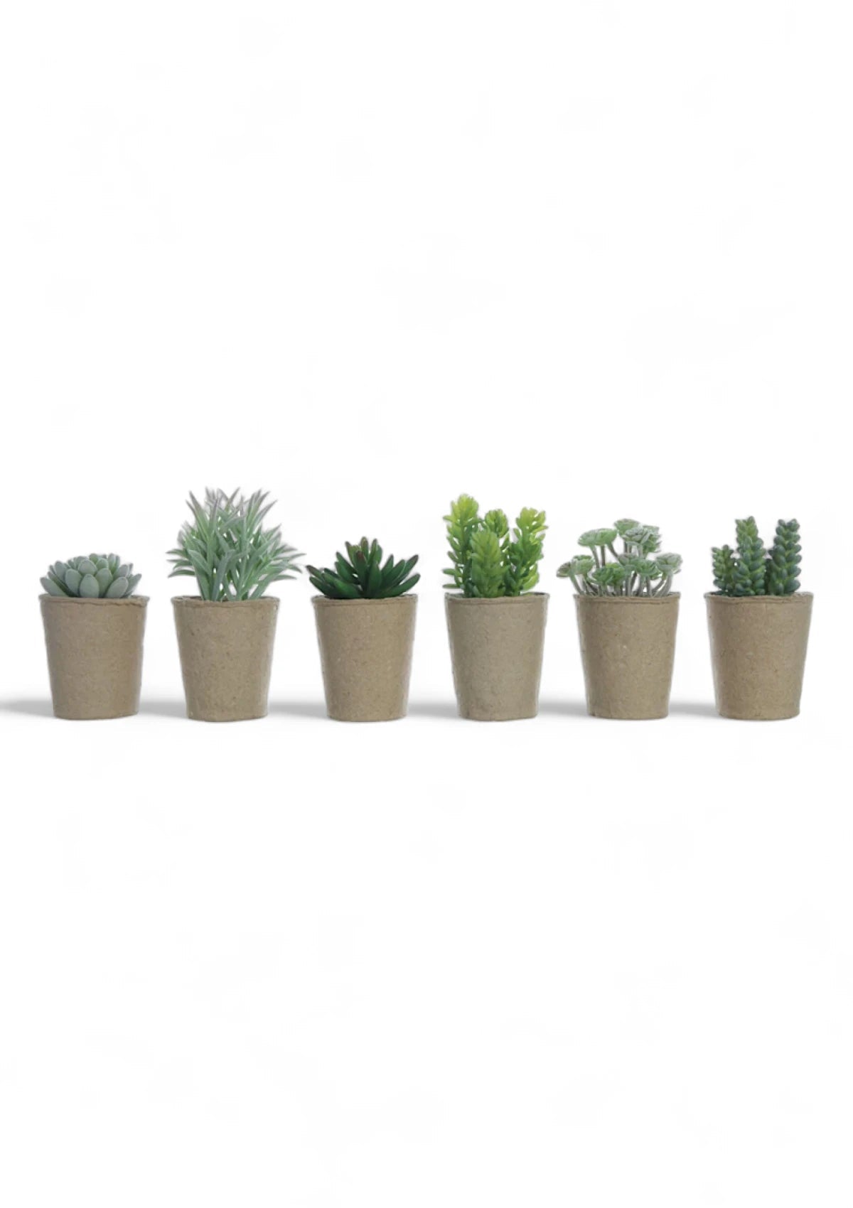 faux succulent in pot Desert Fields Faux Succulent in Paper Pot (6 Styles)