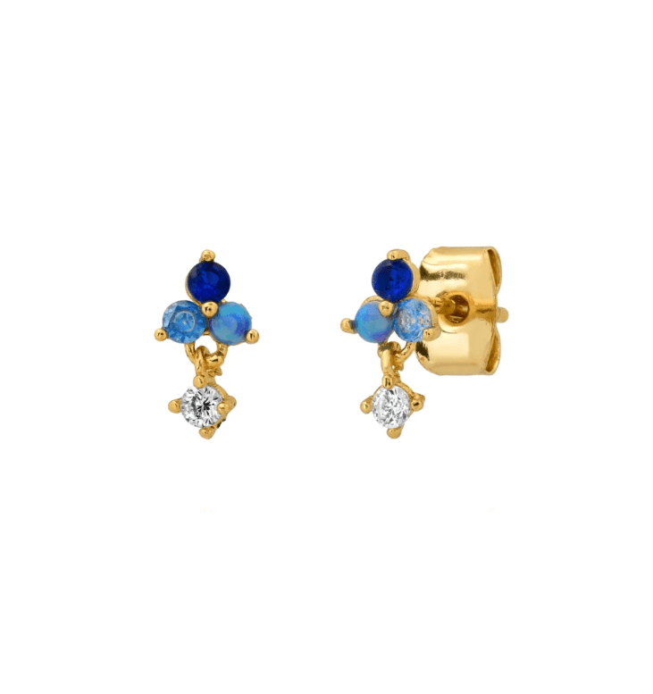 Earrings-Fashion-Jewelry-Ruby Jane & Valleygirl Boutique.