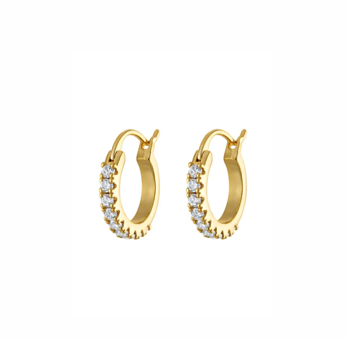 Lane Hoop Mini Earring