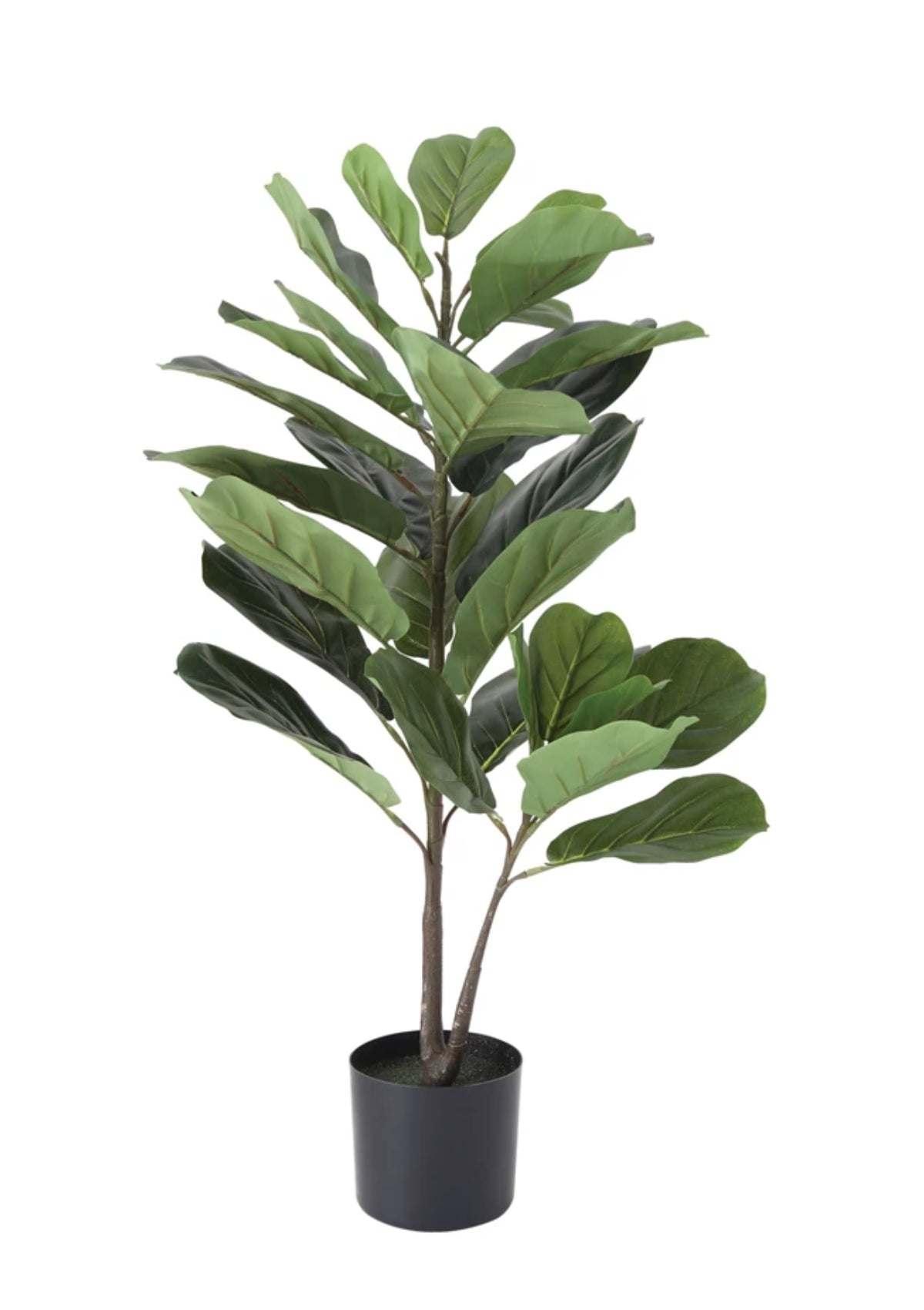 Faux Fiddle Fig Leaf Plant in Pot -Creative Co-op- Ruby Jane-