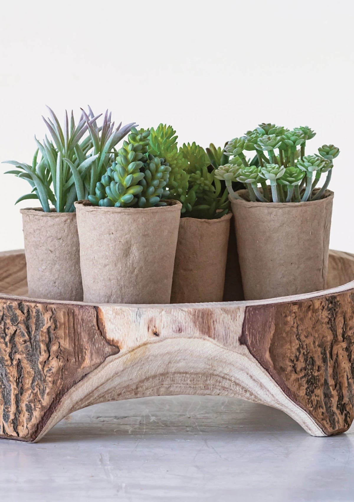 Faux Succulent in Paper Pot, 6 Styles -Creative Co-op- Ruby Jane-