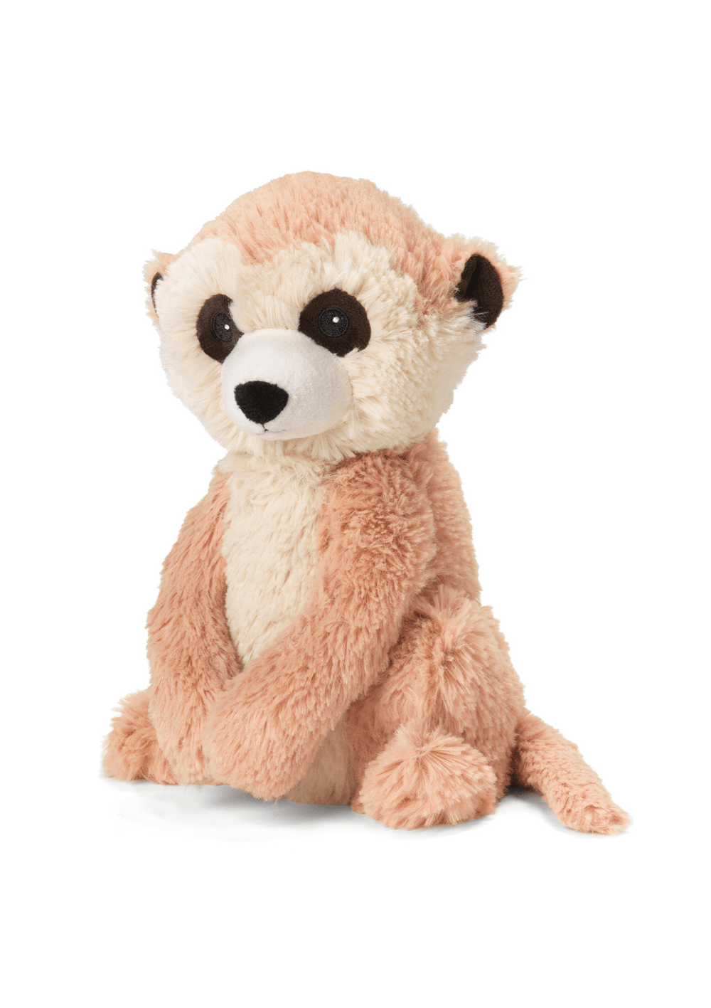 Meerkat 13